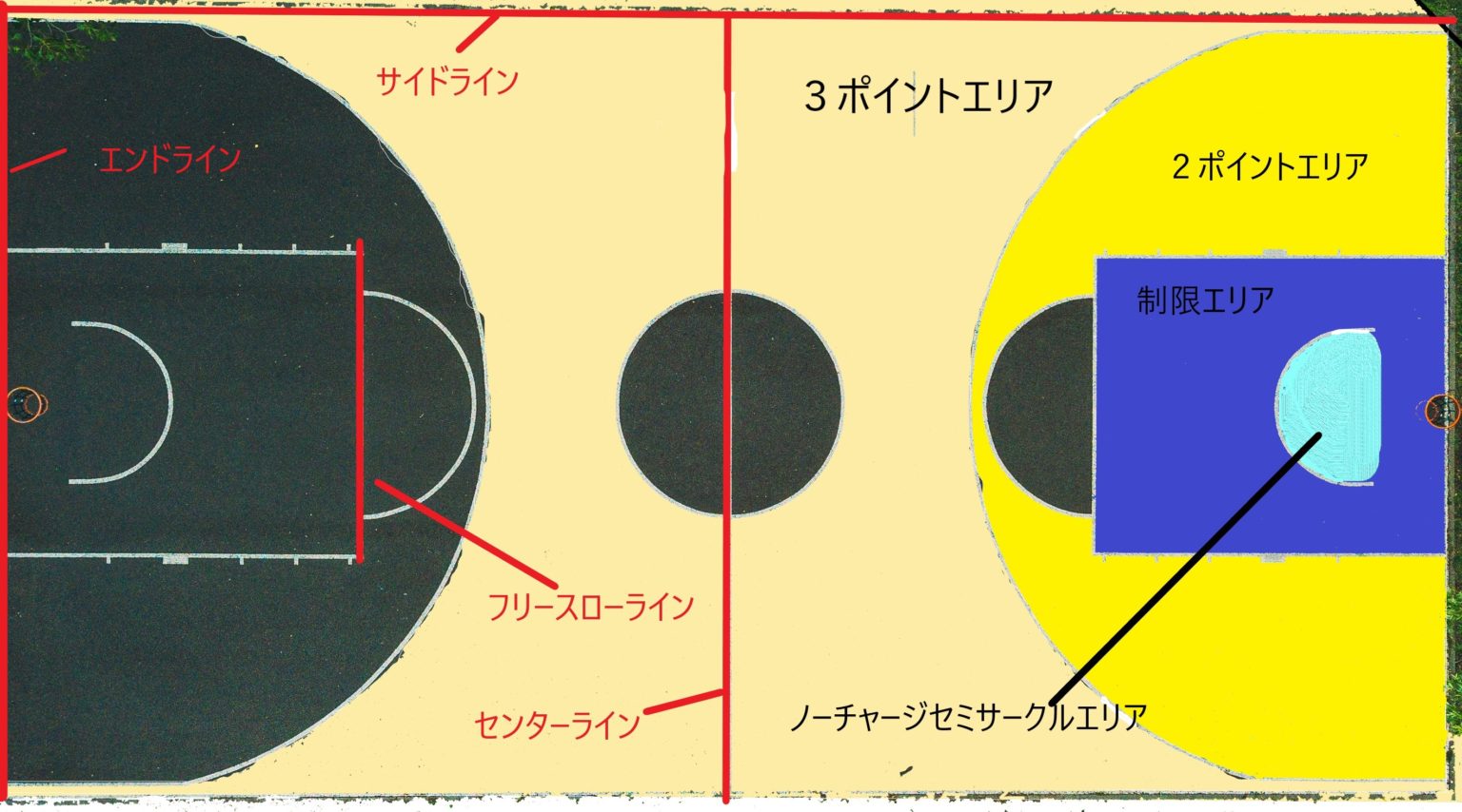 【初心者向け基礎知識①】バスケットボールを知ろう | 初心者向け バスケットボール上達の道